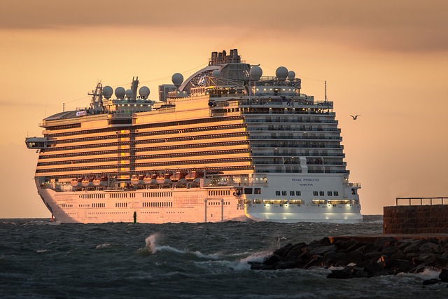cruise