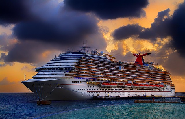 cruise dinner