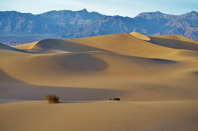 desert atv