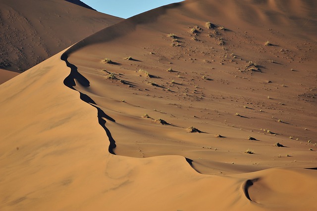 desert | buggy