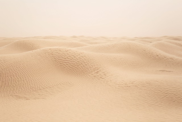 desert | buggy
