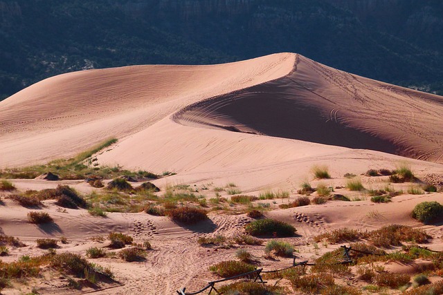 desert buggy ride