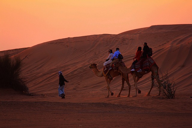 Desert Buggy Ride Dubai