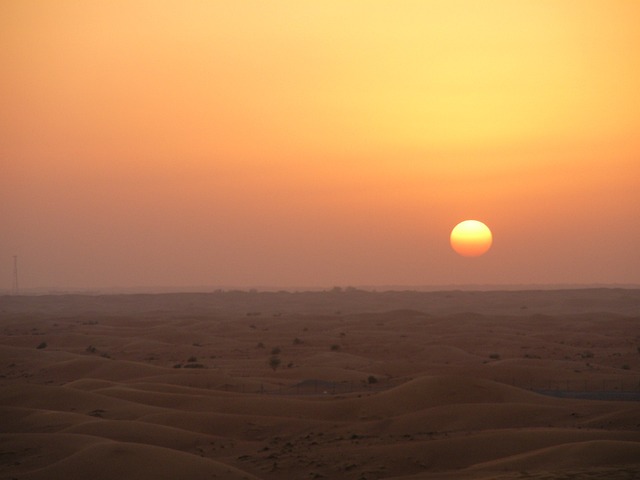 desert buggy safari dubai