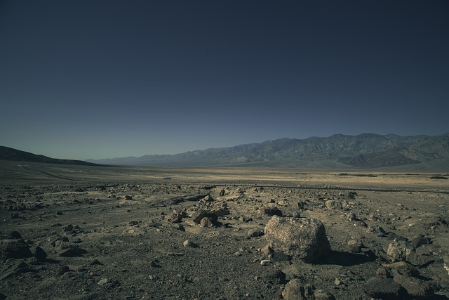desert safari deal