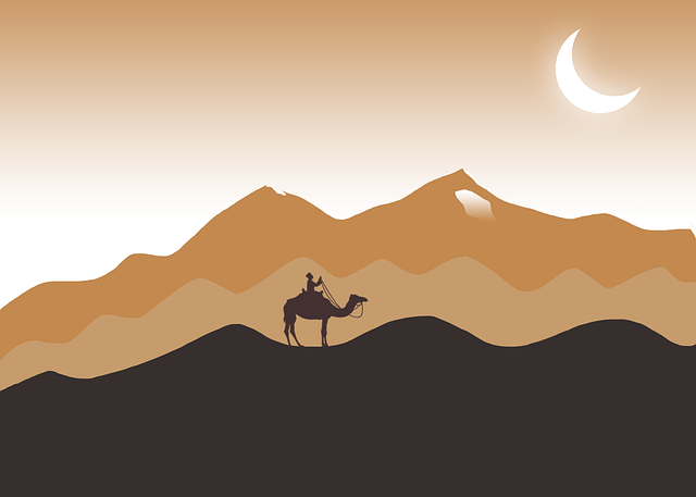 Desert Safari Dubai with Camel Riding