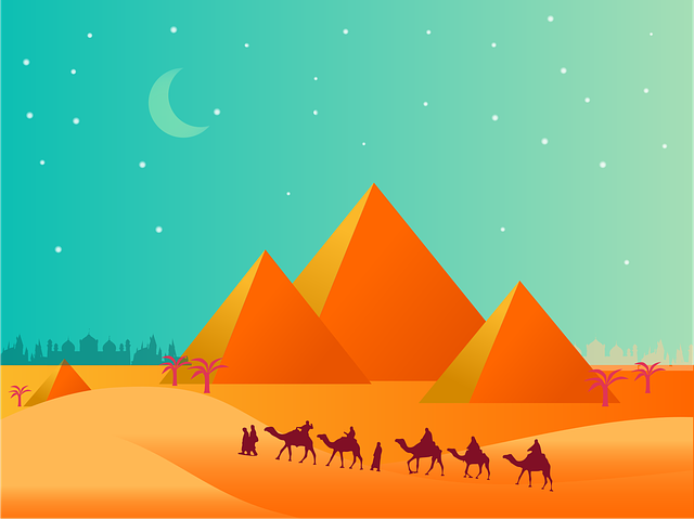 Desert Safari Dubai with Camel Riding