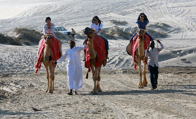 desert safari ticket