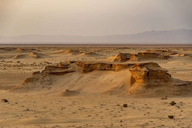 desert safari ticket