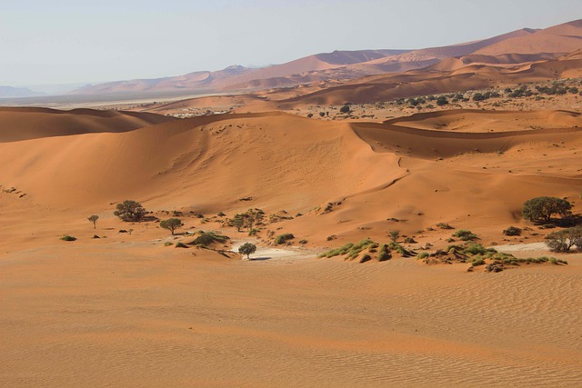 Desert safari Umm Suqeim