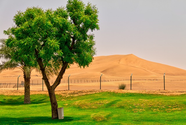 Desert Safari with Quad Biking Dubai