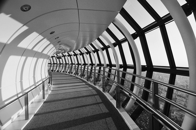 Dhow Cruise Deck View