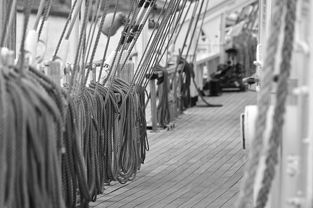 Dhow Cruise Deck View