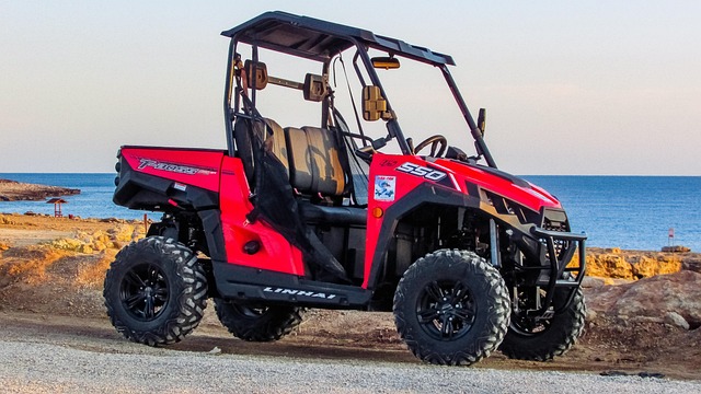 dubai buggy ride