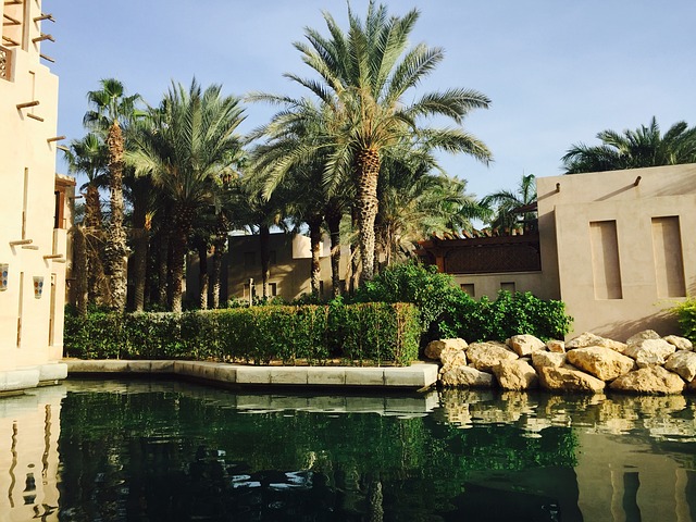 Dubai Tour Travel Agency