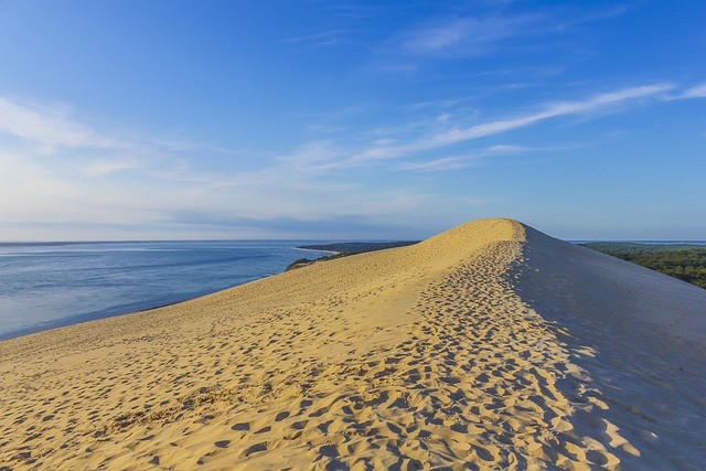 dune bashing