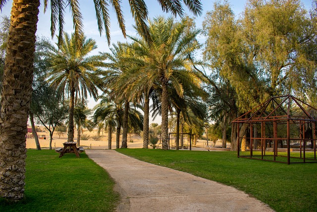 Experience the Dunes: Your Ultimate Guide to Dune Buggy Adventures in UAE
