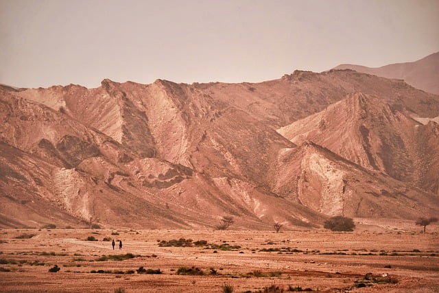 global desert safari