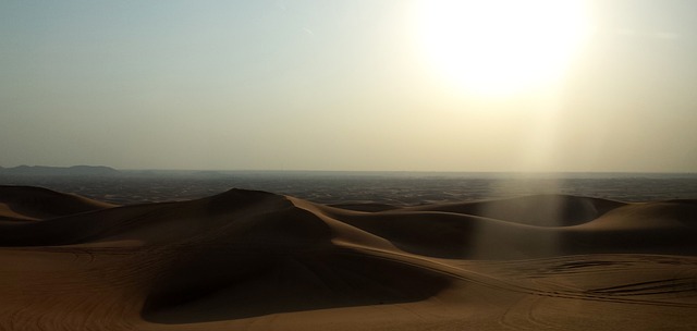 Group Desert Safari Dubai