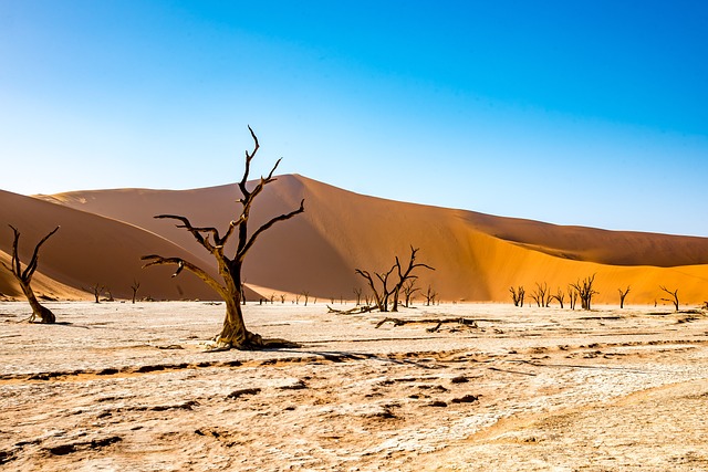 Hot Air Balloon Dubai Desert