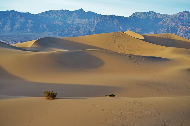 Kids-Friendly Desert Safari Dubai