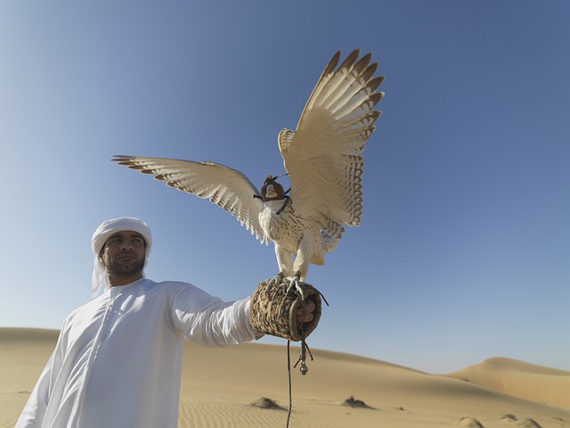 Luxury Desert Safari with Falconry Dubai