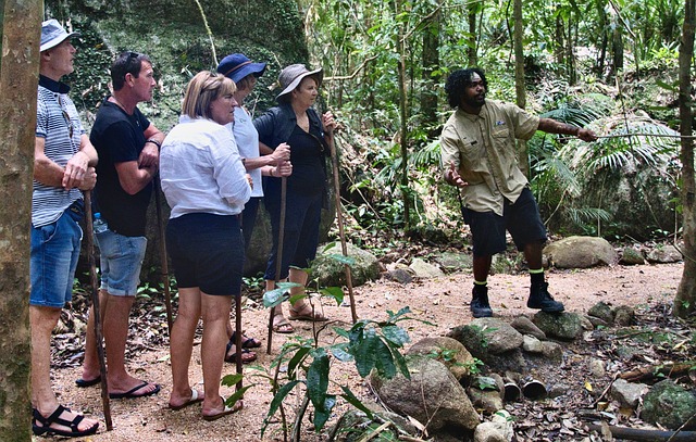 Luxury Tours