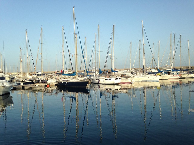 marina boat