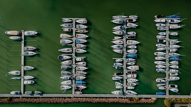 Marina Cruise View