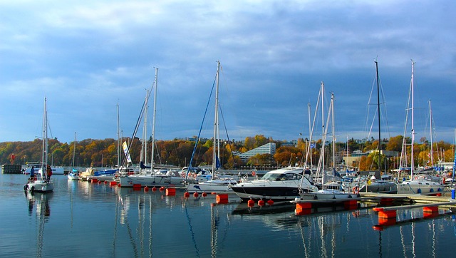 marina dhow
