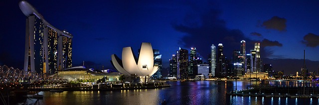 Marina Skyline Cruise