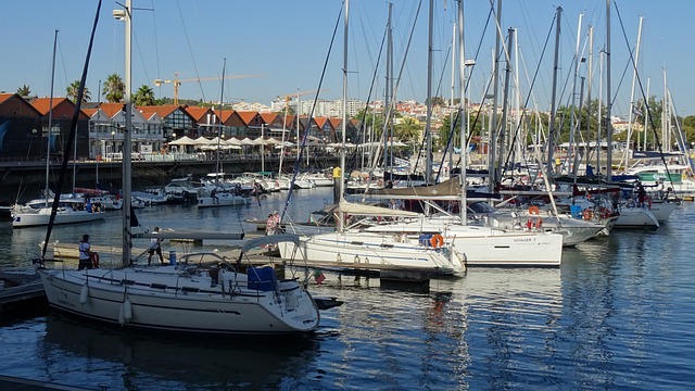 Marina Skyline Cruise