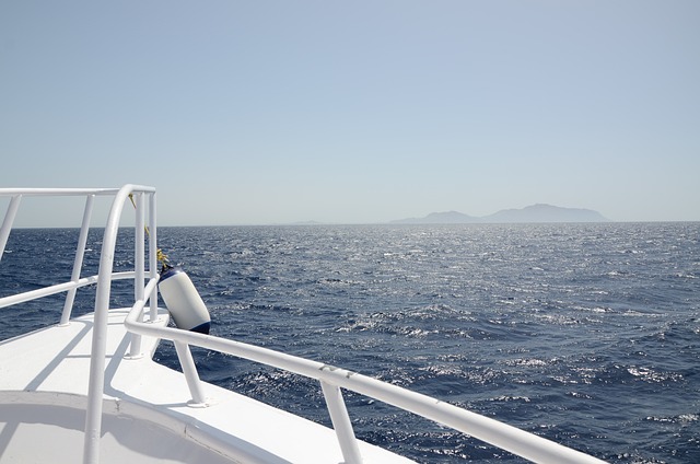 Marina Skyline Cruise