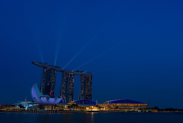 Marina Skyline Cruise