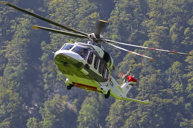 Marina Skyline Helicopter