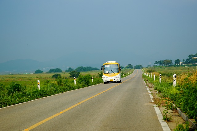 Dubai Compact Vehicles: Navigating the City in Style with Mini Bus Rentals