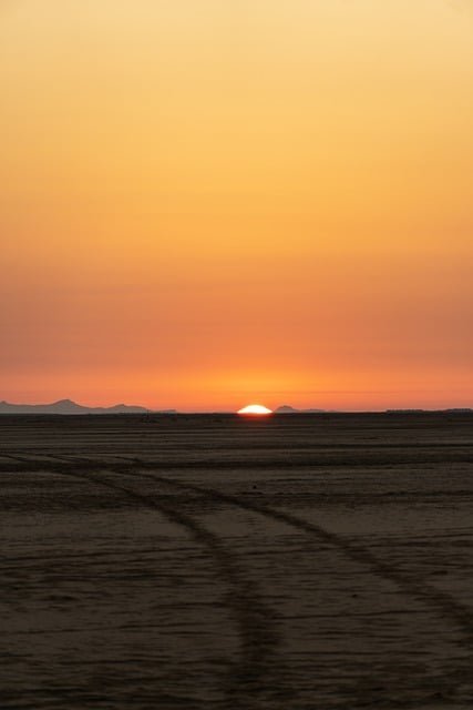 Discover Dubai’s Desert Magic: Early Morning Safari Adventures