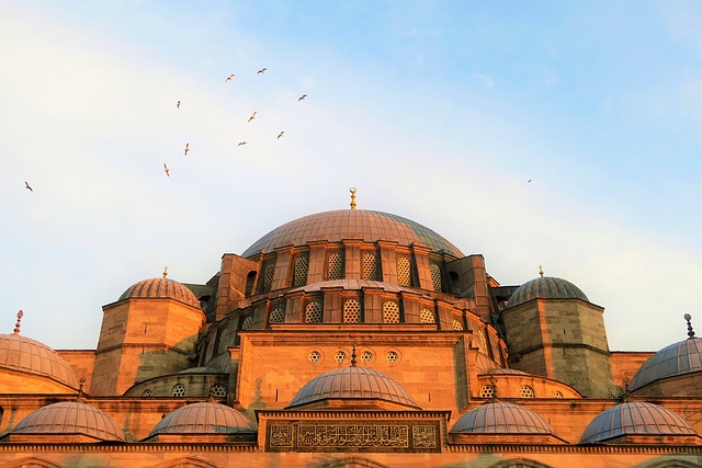Mosque Tickets