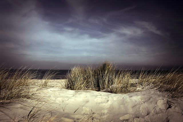 Polaris Dune