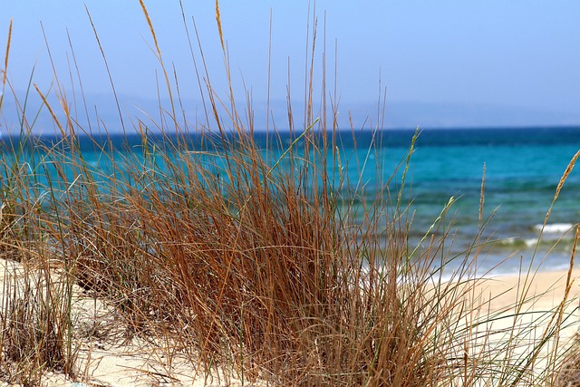 Polaris Dune Buggy Adventures: Safety, Tours & Unforgettable Desert Explorations