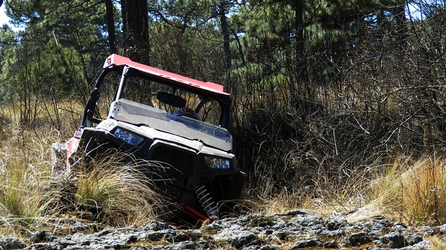 rzr dubai