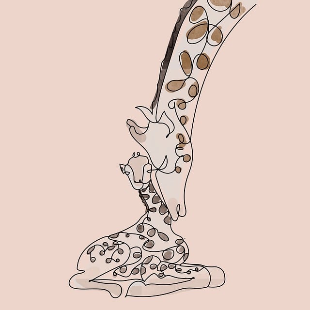 safari cheap