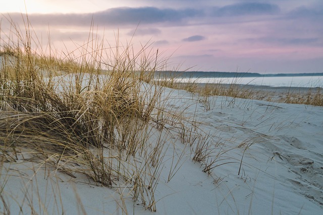 Discover Dubai’s Dunes: Navigating with Sand Buggy Rentals