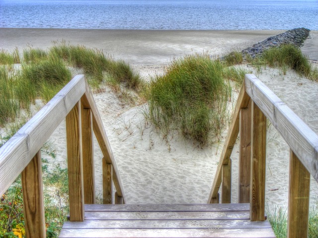 sand dune buggy