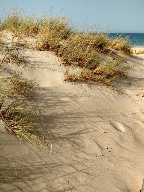Sand Dune Buggy Dubai