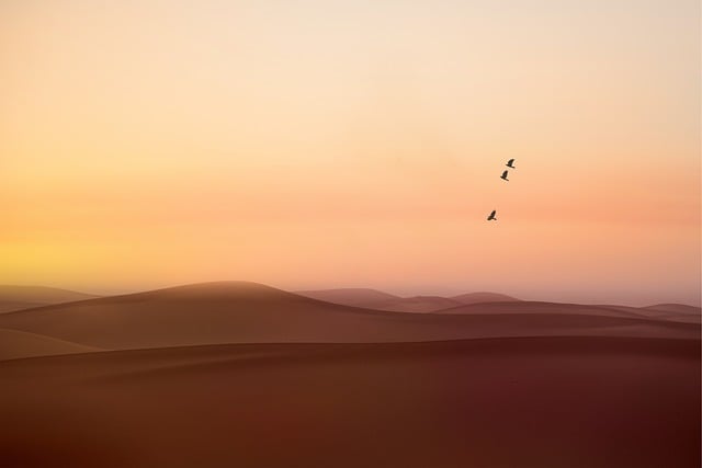 Sand Dune Quad Biking Dubai