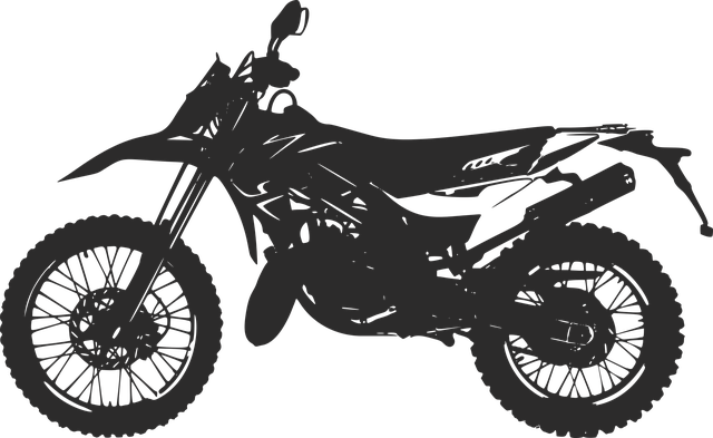 Self Drive Bike