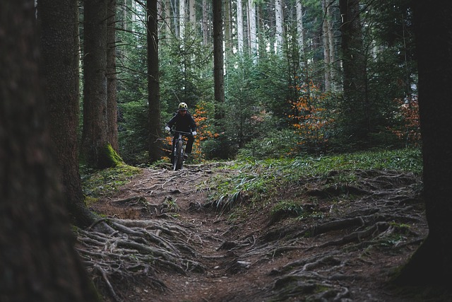 Self Drive Bike
