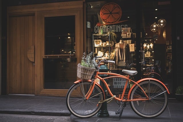 Self Drive Bike