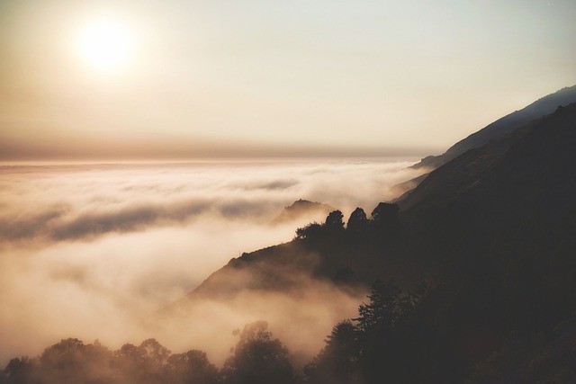 Sunrise Rides